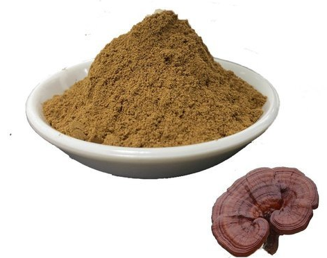 reishi extract powder.png